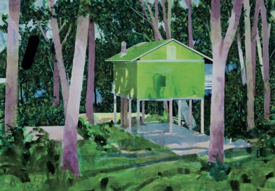 0890_0215 _diluviennes