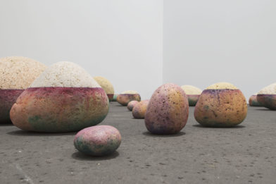 La Beauté d'une Cicatrice