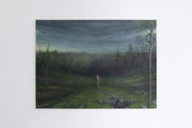 HS150 For Annie_install view