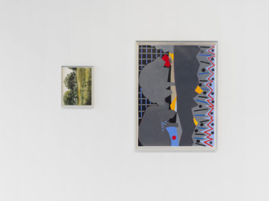 LEEN VOET_BVD #15_diptych