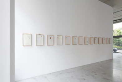 Ricardo Lanzarini - Dibujos en el delirio