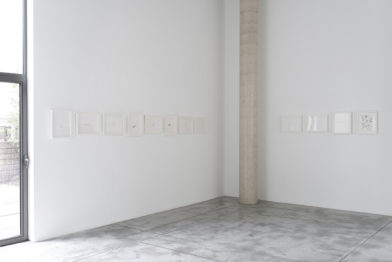 Ricardo Lanzarini - Dibujos en el delirio