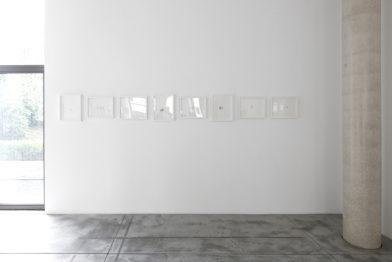 Ricardo Lanzarini - Dibujos en el delirio