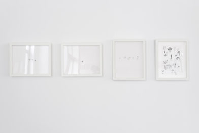 Ricardo Lanzarini - Dibujos en el delirio