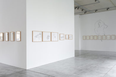 Ricardo Lanzarini - Dibujos en el delirio