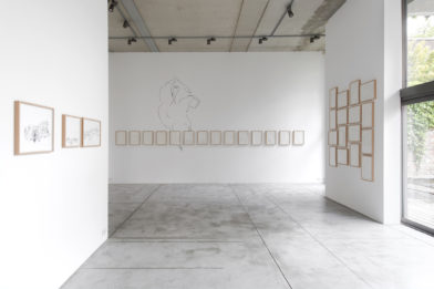 Ricardo Lanzarini - Dibujos en el delirio