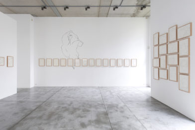 Ricardo Lanzarini - Dibujos en el delirio