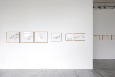 Ricardo Lanzarini - Dibujos en el delirio