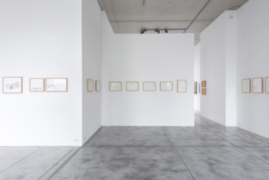 Ricardo Lanzarini - Dibujos en el delirio