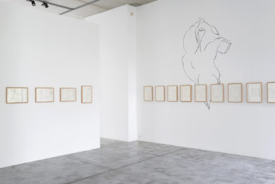 Ricardo Lanzarini - Dibujos en el delirio