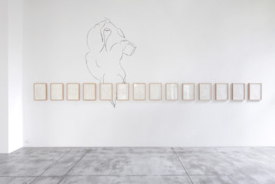 Ricardo Lanzarini - Dibujos en el delirio