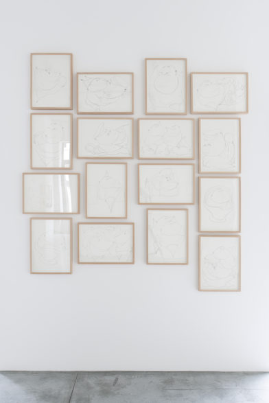 Ricardo Lanzarini - Dibujos en el delirio