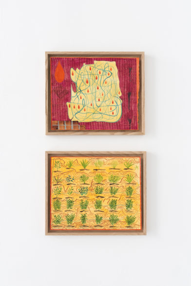 Karishma D'Souza - Midway mark