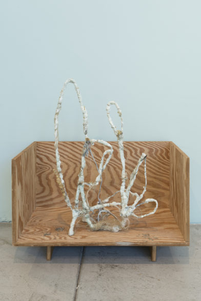 Untitled (les protagonistes)