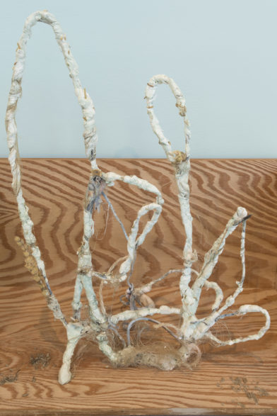 Untitled (les protagonistes)