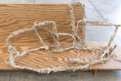 Untitled (scène d'ouverture)