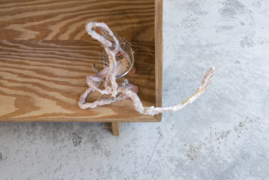 Untitled ( monologue)