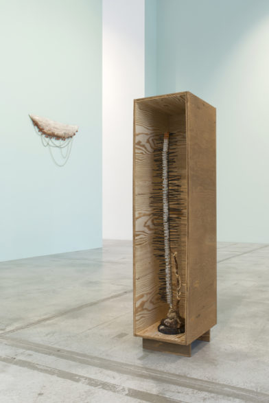 Untitled (regulate) & Untitled (public ceremony)