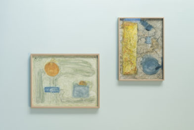 Untitled (Intervention) & Untitled (electric garden)