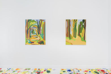 Exbition View 7 © Hugard & Vanoverschelde copie