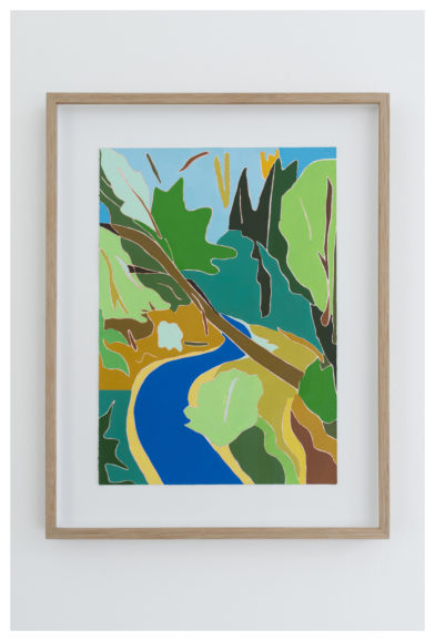 Multi-Layered Forest Study (Joaquin Miller Park, Oakland, CA)