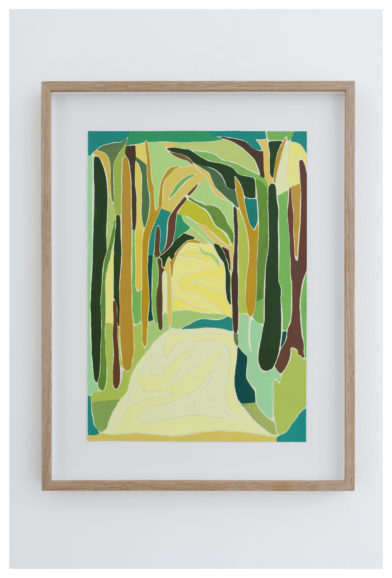 Belgian Multi-Layered Forest Study (Forêt de la Soignes)