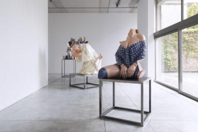 Wang Du, L'image au temps du négatif / positif