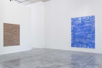 James Siena, Vergence