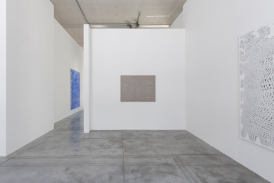 James Siena, Vergence