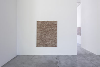 James Siena, Vergence