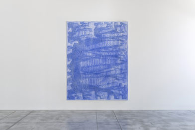 James Siena, Vergence