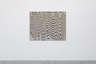 James Siena, Vergence