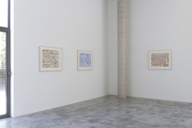 James Siena, Vergence