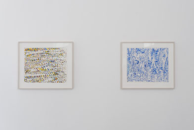 James Siena, Vergence