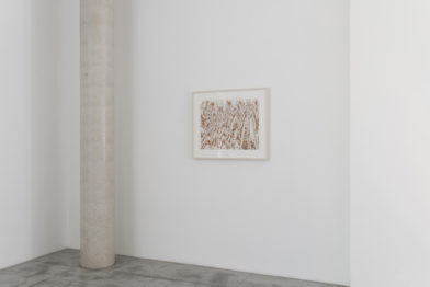 James Siena, Vergence