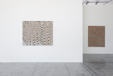 James Siena, Vergence