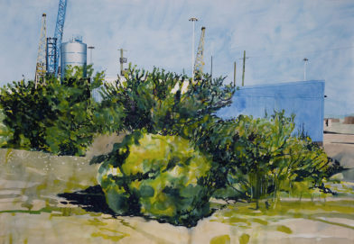 0647_0208 _celibataire