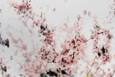 Prière de ne pas toucher