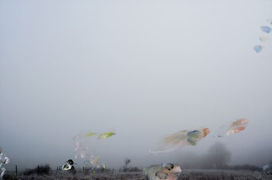 Prière de ne pas toucher