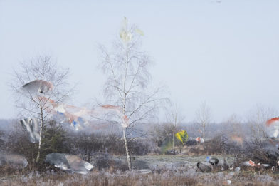 Prière de ne pas toucher