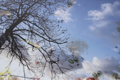 Prière de ne pas toucher