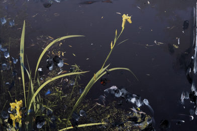 Prière de ne pas toucher
