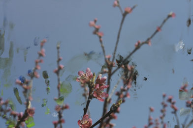 Prière de ne pas toucher