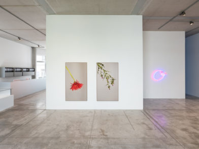 BARONIAN-Photos-Vincent-Everarts-012