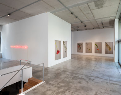 BARONIAN-Photos-Vincent-Everarts-015