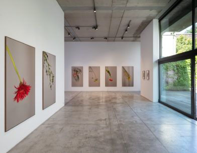 BARONIAN-Photos-Vincent-Everarts-016