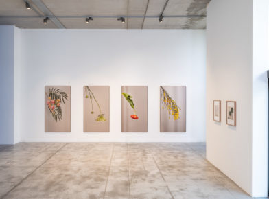 BARONIAN-Photos-Vincent-Everarts-019