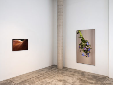 BARONIAN-Photos-Vincent-Everarts-021