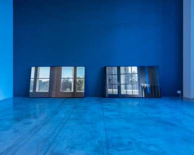 Among Others, Birds, Cats, Elephants, Rain and Wind