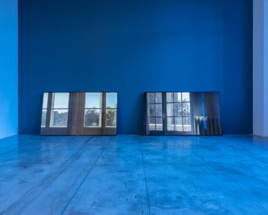 mong Others, Birds, Cats, Elephants, Rain and Wind